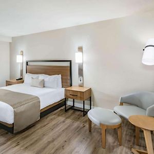 Zimmer mit Kingsize-Bett